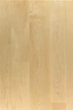 Canadian Hard Maple by Cadorin Group - view 9
