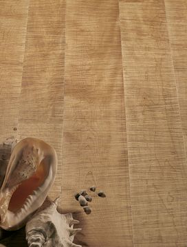 Sawn Hard Maple by Cadorin Group - view 2