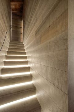Sawn Hard Maple Forest Source by Cadorin Group - view 7