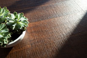 “Antiqued” Cortec Walnut by Cadorin Group - view 2