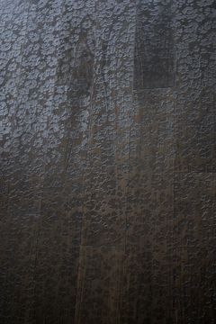 Dark Chocolate Walnut Daisies – JARDINS COLLECTION by Cadorin Group - view 3
