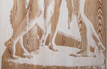 The Three Graces by Antonio Canova by Cadorin Group - view 6
