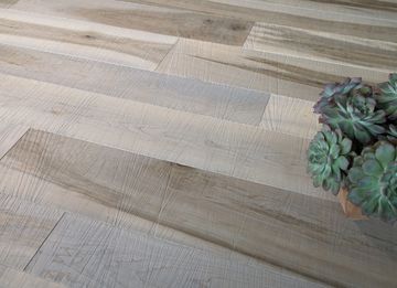 Sawn Hard Maple Forest Source by Cadorin Group - view 2