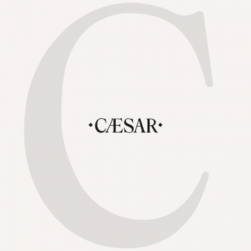 Step In Grey by Ceramiche Caesar - view 4