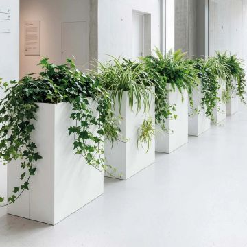 Design Collection Waste Bin Umbrella Stand Plants Pot by Caimi Brevetti - view 6