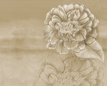 Wallpaper Peonie by Carta da Parati Artistica - view 4