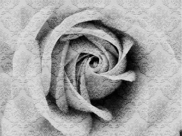 Wallpaper Rosa damascata by Carta da Parati Artistica - view 3