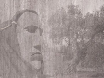 Wallpaper Effetto muro by Carta da Parati Artistica - view 4