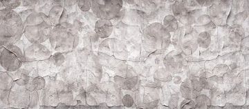 Wallpaper Danza delle meduse by Carta da Parati Artistica - view 4