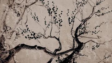 Wallpaper Albero delle poesie by Carta da Parati Artistica - view 4