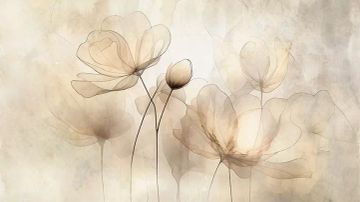 Wallpaper Velarium by Carta da Parati Artistica - view 4