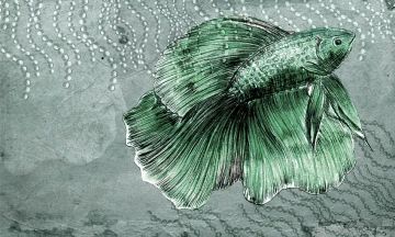 Wallpaper Pesce by Carta da Parati Artistica - view 2