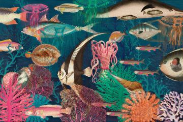 Wallpaper Sea by Carta da Parati Artistica - view 2