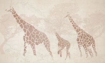 Wallpaper Cameretta by Carta da Parati Artistica - view 2