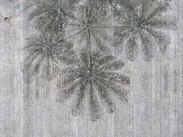 Wallpaper Foglie su cemento by Carta da Parati Artistica - view 2