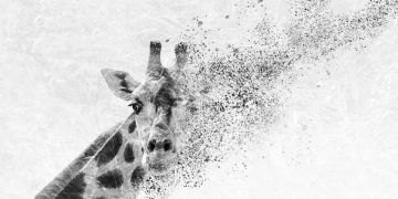 Wallpaper Giraffa by Carta da Parati Artistica - view 2