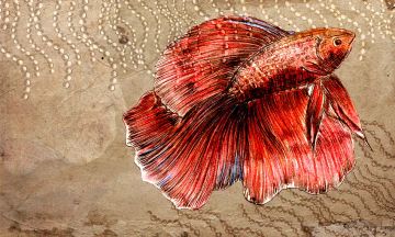 Wallpaper Pesce by Carta da Parati Artistica - view 7