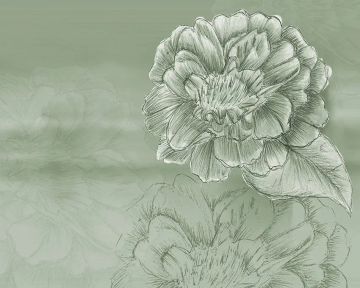 Wallpaper Peonie by Carta da Parati Artistica - view 5