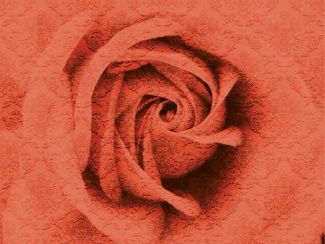 Wallpaper Rosa damascata by Carta da Parati Artistica - view 4