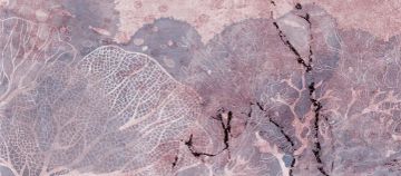 Wallpaper Mondi sommersi by Carta da Parati Artistica - view 6