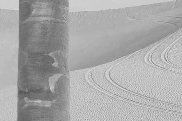 Wallpaper Dakar by Carta da Parati Artistica - view 3