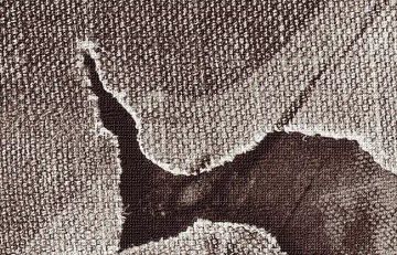 Wallpaper Violino vintage by Carta da Parati Artistica - view 3