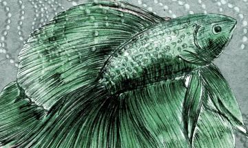 Wallpaper Pesce by Carta da Parati Artistica - view 3