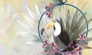 Wallpaper Tucano tropicale by Carta da Parati Artistica - view 3