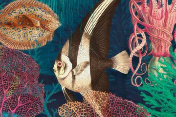 Wallpaper Sea by Carta da Parati Artistica - view 3