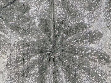 Wallpaper Foglie su cemento by Carta da Parati Artistica - view 3