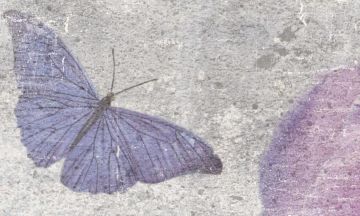 Wallpaper Farfalle by Carta da Parati Artistica - view 3