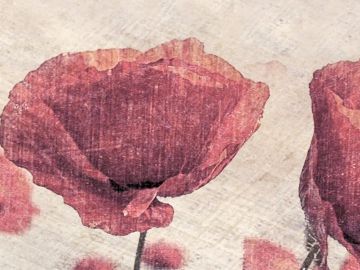 Wallpaper Papaveri by Carta da Parati Artistica - view 3