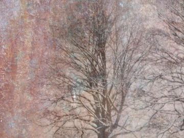 Wallpaper Alberi by Carta da Parati Artistica - view 3