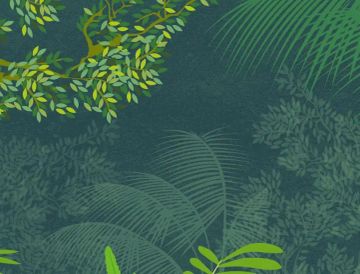 Wallpaper Immagini natura by Carta da Parati Artistica - view 3