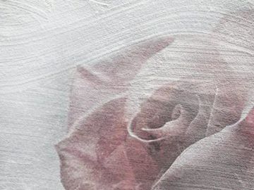 Wallpaper Rosa by Carta da Parati Artistica - view 3