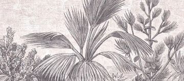 Wallpaper Indian forest by Carta da Parati Artistica - view 3