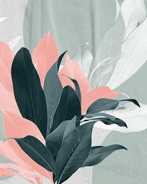 MAGNOL by Cerasa - view 4