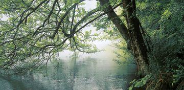 LAGOON by Creative Space - view 2