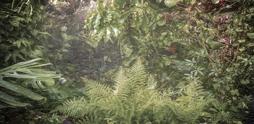 RAIN by Creative Space - view 2