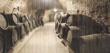 WINE 3 by Creative Space - view 2
