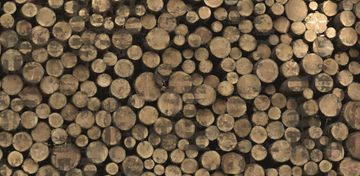 WOOD by Creative Space - view 2