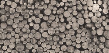 WOOD by Creative Space - view 3