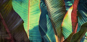 ZOOM by Creative Space - view 2