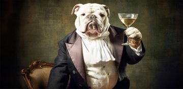 PROSIT by Creative Space - view 2