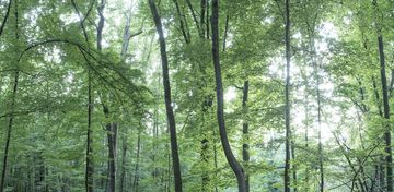 FILLED by Creative Space - view 2