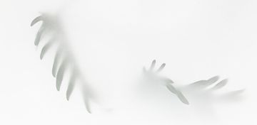 OFF by Creative Space - view 2