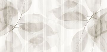 SKIN by Creative Space - view 2