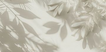 ARDENNE by Creative Space - view 2