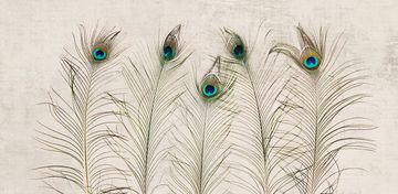 PAVO by Creative Space - view 2