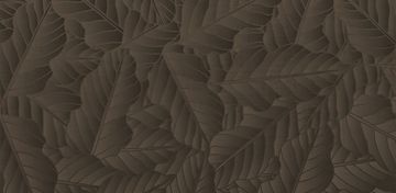BROWN by Creative Space - view 2